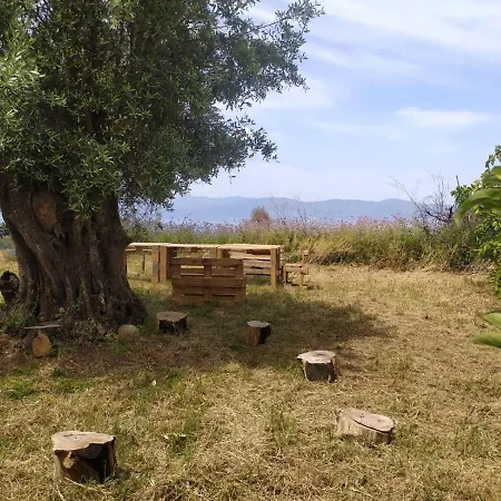 Sant' Anna Orti