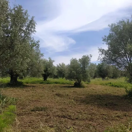 Farm stay Sant' Anna Orti Reggio Calabria