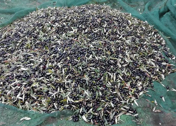 Sant' Anna Orti Farmház