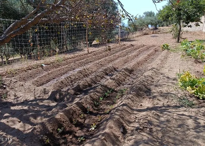 Sant' Anna Orti Farmház